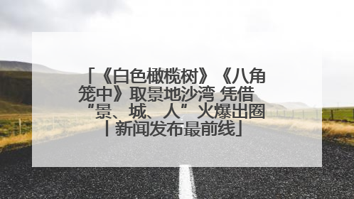 《白色橄榄树》《八角笼中》取景地沙湾 凭借“景、城、人”火爆出圈丨新闻发布最前线