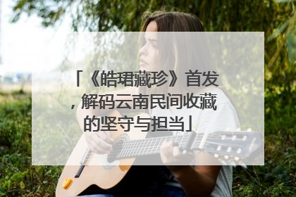 《皓珺藏珍》首发，解码云南民间收藏的坚守与担当