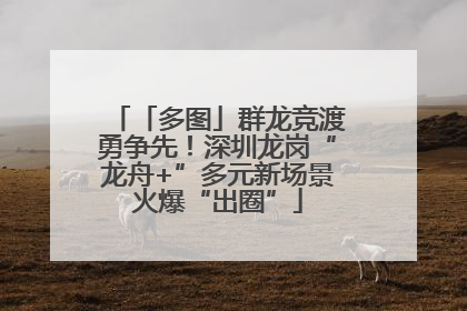 「多图」群龙竞渡勇争先！深圳龙岗“龙舟+”多元新场景火爆“出圈”