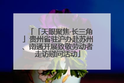 「天眼聚焦·长三角」贵州省驻沪办赴苏州、南通开展致敬劳动者走访慰问活动