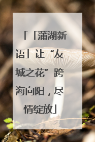 「蒲湖新语」让“友城之花”跨海向阳，尽情绽放
