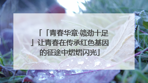 「青春华章·赣劲十足」让青春在传承红色基因的征途中熠熠闪光