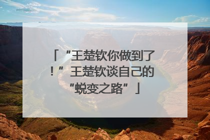 “王楚钦你做到了！”王楚钦谈自己的“蜕变之路”
