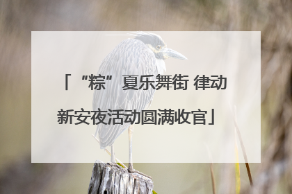 “粽”夏乐舞街 律动新安夜活动圆满收官