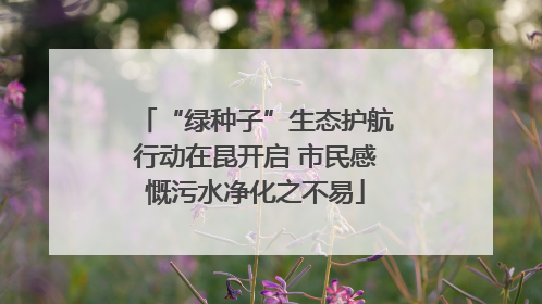 “绿种子”生态护航行动在昆开启 市民感慨污水净化之不易