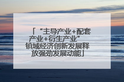“主导产业+配套产业+衍生产业” 镇域经济创新发展释放强劲发展动能