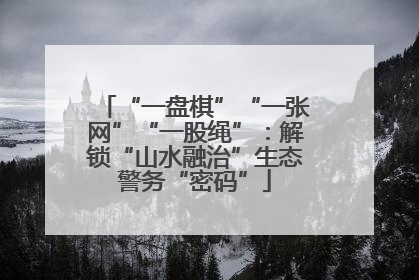 “一盘棋”“一张网”“一股绳”：解锁“山水融治”生态警务“密码”