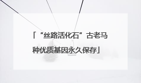 “丝路活化石”古老马种优质基因永久保存