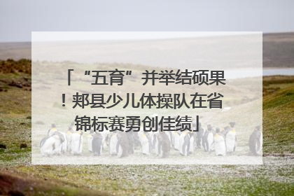 “五育”并举结硕果！郏县少儿体操队在省锦标赛勇创佳绩