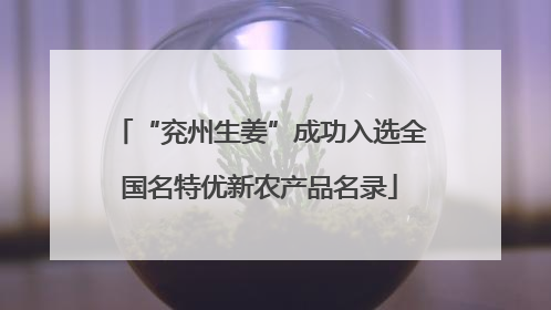 “兖州生姜”成功入选全国名特优新农产品名录