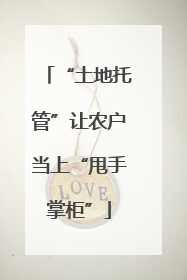 “土地托管”让农户当上“甩手掌柜”