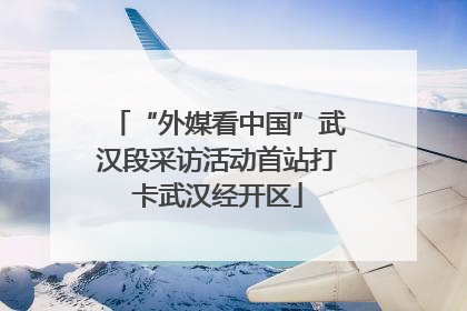 “外媒看中国”武汉段采访活动首站打卡武汉经开区