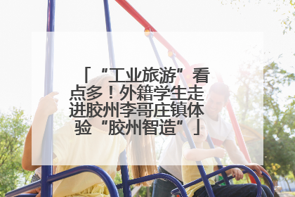 “工业旅游”看点多！外籍学生走进胶州李哥庄镇体验“胶州智造”
