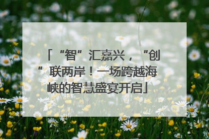 “智”汇嘉兴，“创”联两岸！一场跨越海峡的智慧盛宴开启