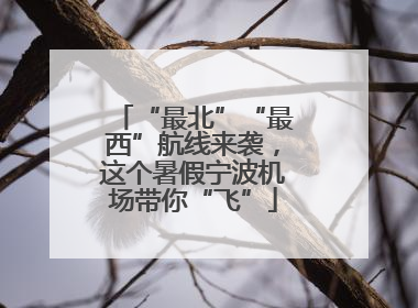 “最北”“最西”航线来袭，这个暑假宁波机场带你“飞”