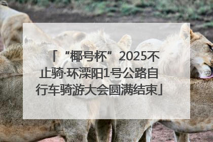 “椰号杯”2025不止骑·环溧阳1号公路自行车骑游大会圆满结束