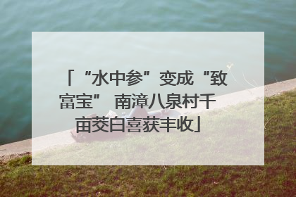 “水中参”变成“致富宝” 南漳八泉村千亩茭白喜获丰收