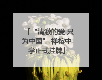 “清澈的爱 只为中国” 祥榕中学正式挂牌