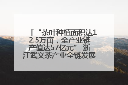 “茶叶种植面积达12.5万亩，全产业链产值达57亿元” 浙江武义茶产业全链发展“加速度”