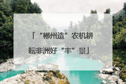 “郴州造”农机耕耘非洲好“丰”景