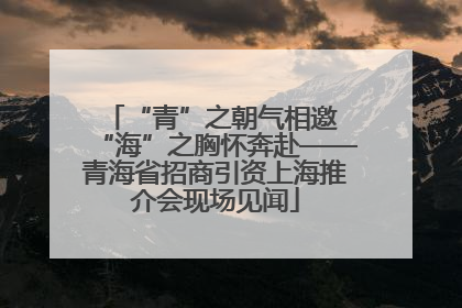 “青”之朝气相邀 “海”之胸怀奔赴——青海省招商引资上海推介会现场见闻