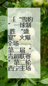 “雪豹”一球制胜 “盛宴”火爆全场——第二届“青超联赛”第二轮西宁主场比赛见闻