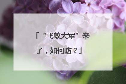“飞蚁大军”来了，如何防？