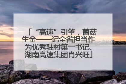 “高速”引擎，菌菇生金——记全省担当作为优秀驻村第一书记、湖南高速集团肖兴旺