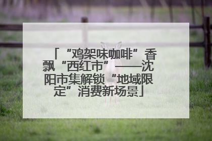 “鸡架味咖啡”香飘“西红市”——沈阳市集解锁“地域限定”消费新场景
