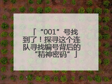 “001”号找到了！探寻这个连队寻找编号背后的“精神密码”