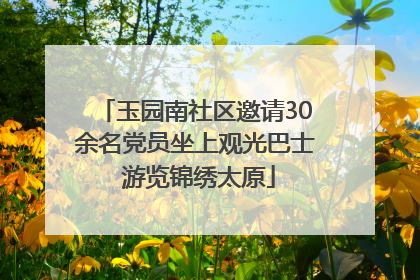 玉园南社区邀请30余名党员坐上观光巴士 游览锦绣太原