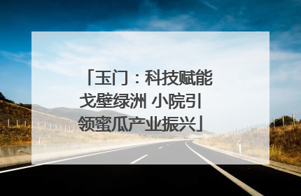 玉门：科技赋能戈壁绿洲 小院引领蜜瓜产业振兴