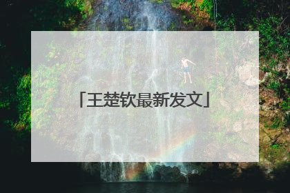 王楚钦最新发文