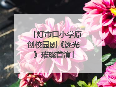 灯市口小学原创校园剧《逐光》璀璨首演