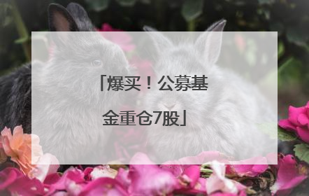 爆买！公募基金重仓7股