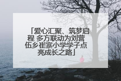 爱心汇聚、筑梦启程 多方联动为刘营伍乡崔寨小学学子点亮成长之路