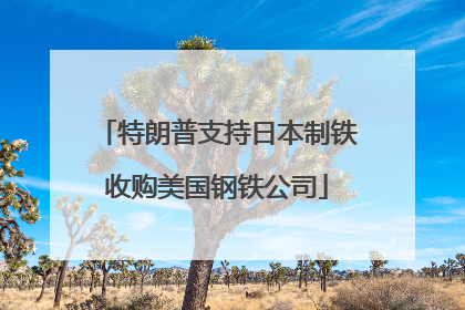 特朗普支持日本制铁收购美国钢铁公司