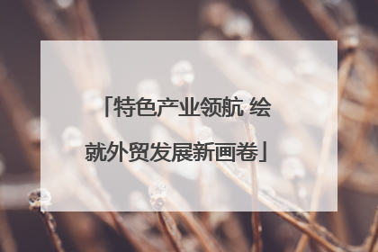 特色产业领航 绘就外贸发展新画卷