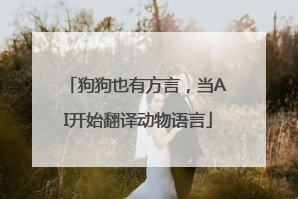 狗狗也有方言，当AI开始翻译动物语言