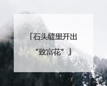 石头缝里开出“致富花”