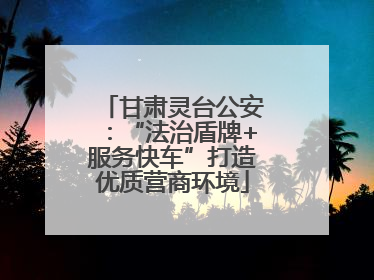 甘肃灵台公安：“法治盾牌+服务快车”打造优质营商环境