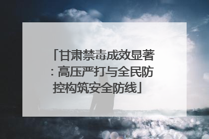 甘肃禁毒成效显著：高压严打与全民防控构筑安全防线