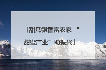 甜瓜飘香富农家 “甜蜜产业”助振兴
