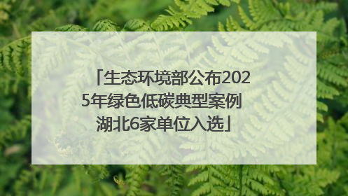 生态环境部公布2025年绿色低碳典型案例 湖北6家单位入选