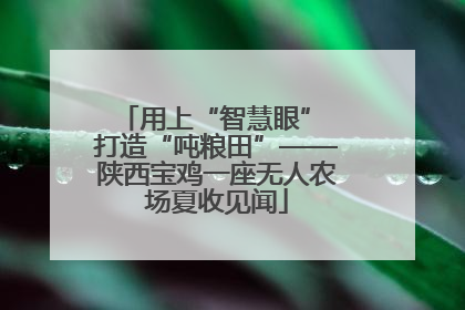 用上“智慧眼” 打造“吨粮田”——陕西宝鸡一座无人农场夏收见闻