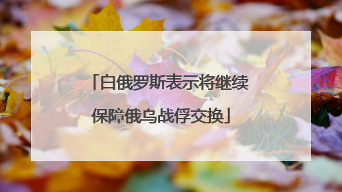 白俄罗斯表示将继续保障俄乌战俘交换