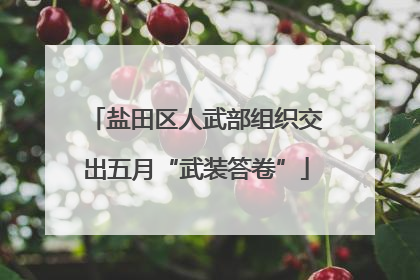 盐田区人武部组织交出五月“武装答卷”