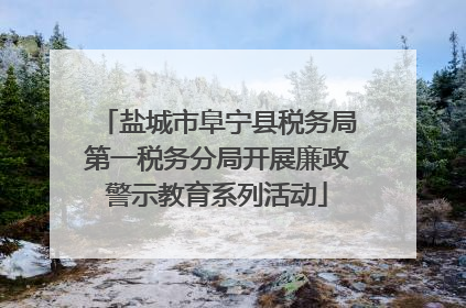盐城市阜宁县税务局第一税务分局开展廉政警示教育系列活动