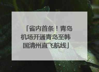 省内首条！青岛机场开通青岛至韩国清州直飞航线