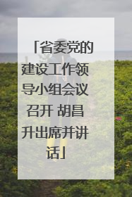 省委党的建设工作领导小组会议召开 胡昌升出席并讲话